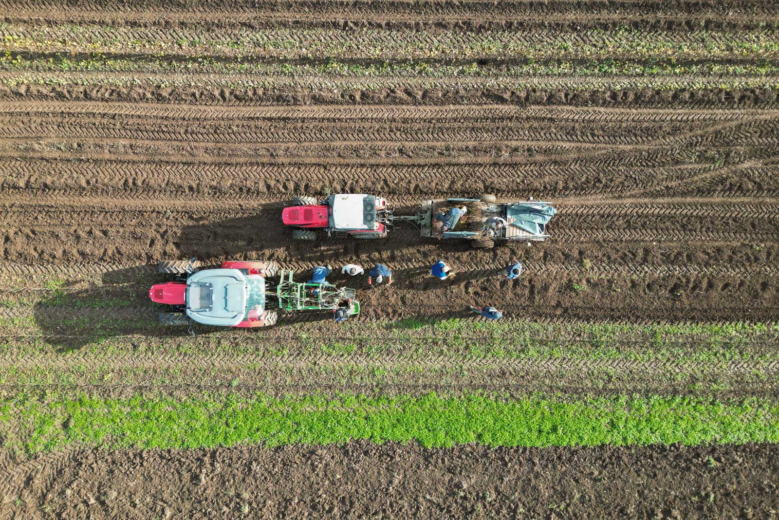 Aufnahme eines Traktor auf dem Feld von Gut Avelsbach bei Pioniere und Wegweiser